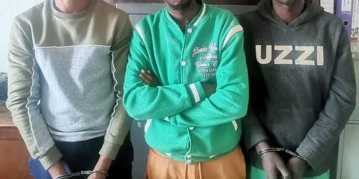 17050fca-a6e7-43de-9405-76974597471d