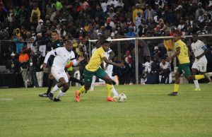 Free State loves Bafana Bafana!