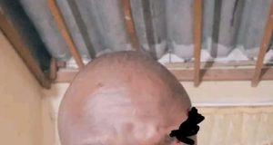 Steven Sejakane arrested for the murder of his girlfriend