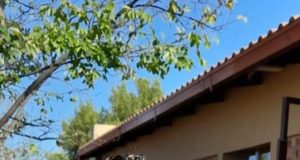 Embellish Beauty Spa growing by leaps and bounds