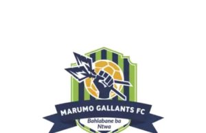 DA welcomes Marumo Gallant’s move to the Free State capital