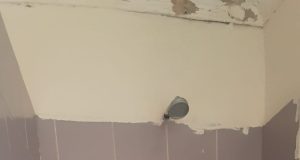 Lady Reported Missing Found Hanged in Shower in Bloemanda GBV