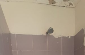 Lady Reported Missing Found Hanged in Shower in Bloemanda GBV