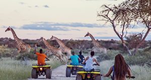 Sho’t Left Travel Week: Unmissable Deals for Hikers and Adventure Seekers