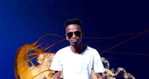 Stevovo enjoys being ko Spotong