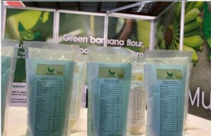 FoodChamp: Empowering Wellness Through Natural Nutrition