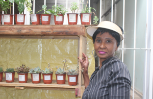 For the Love of Flowers