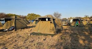 Explore and rediscover the Free State