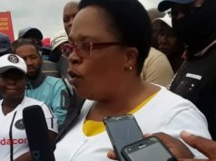 Taxi Chairperson killed in Qwaqwa, manhunt launched to find the killers