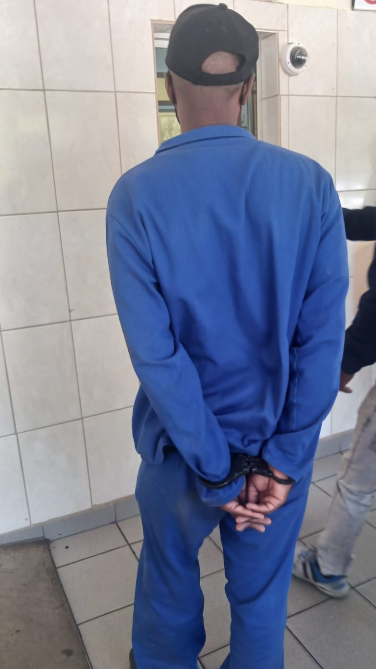 Wanted murder suspect brought back to Mzansi