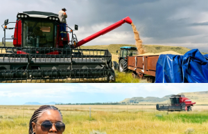 Barolong Boo Seleka Prioritises Food Security