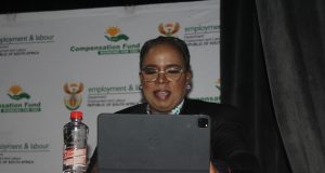 Job Creation is a shared effort, says Employment and Labour Dept. Minister