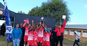 Virginia Sports Tournament Unites Young People