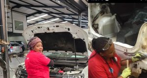 Tshegofatso Mphongosha: A Womandla